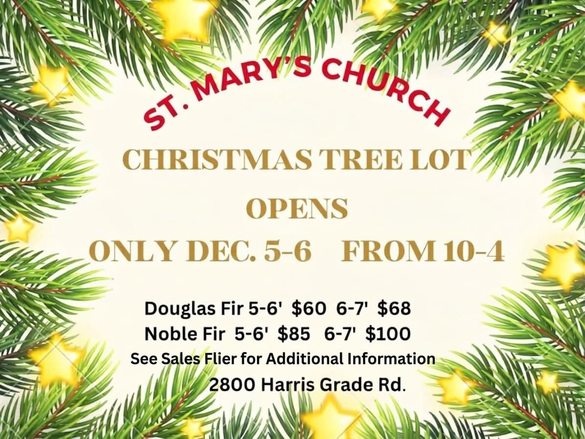Tree-Flyer-2026-SM-RK 2026 Christmas Tree Lot Information